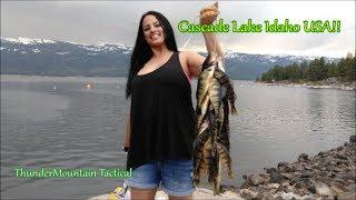 Lake Cascade Perch Fishing from the Bank!! Idaho USA!!