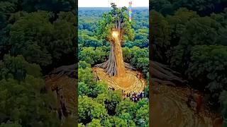 places on earth that don't feel real #travel #nature #explore #shorts