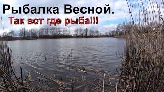 Рыбалка весной на реке. Как же я скучал по этим поклевкам.