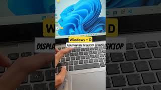 windows + D = Display and hide the desktop || Subscribe for more informative videos ⌨️ @CREALIFY