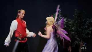 Literary Follies 2011