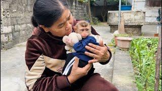 baby monkey Tina cried because she missed her mother because she was not at home