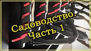 Садоводство - Часть 1  Квесты Механика  Escape From Tarkov (Побег из Таркова). 2020