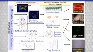 Biocompatible Materials Science 2013