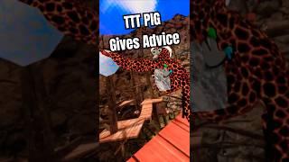 TTT PIG is Awesome  #gorillatag #gtag #vr #bmoreinlife #gtagdad #tttpig #ttt #shortsfeed #shorts