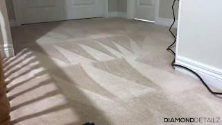 Carpet Cleaning in the GTA | Diamond Detailz | Promo Video