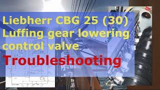 Liebherr CBG 25 (30) Litronic Luffing gear lowering control valve troubleshooting