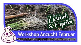 Neue Aussaaten im Februar | Workshop Teil 6