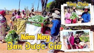 Nông Sản BÁN ĐƯỢC GIÁ Vậy Sao Bác? Chỉ Hơn 2 Năm Giúp Đỡ Mà Nhà Bác Đã Được Thế Này Rồi!
