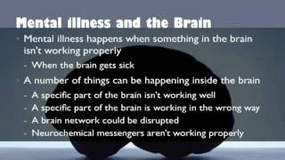 Understanding the Biology of Mental Illness