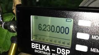 Belka DSP vs. Degen DE1103 (SSB)