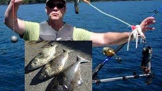 Halibut Fishing Strait of Juan de Fuca, British Columbia Canada