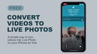 CONVERT VIDEO TO LIVE PHOTO FOR FREE: How to turn any video into a live wallpaper on iPhone