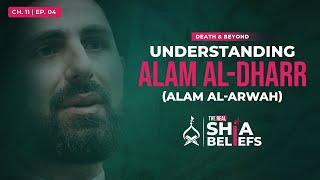 11/4: Alam al-Dharr: Did Our Souls Exist Before Our Bodies? | The Real Shia Beliefs