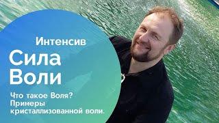 Что такое Воля? Примеры кристаллизованной Воли