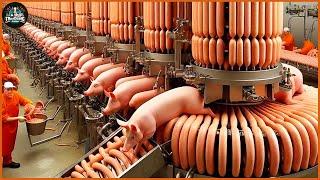 How Australian Farmers Transport And Process Millions Of Pigs - Pig Farm | Processing Factory