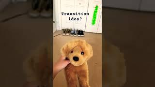 Sorry guys I’m kinda outta ideas rn  || #essa #puppy #stuffedanimal #dogtraining #onedirection