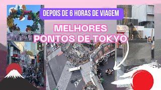 Viagem de carro para TokyoMelhores pontos turísticos de Tokyo sem gastar muito!!  #viagem #tokyo