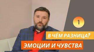 Эмоции и чувства. В чем между ними разница?