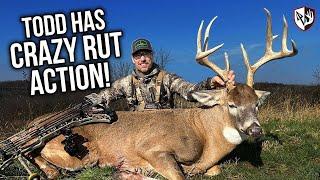 BIG BUCK! Crazy Rut Action!