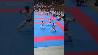 Team JKS Japan Team Kata 6th World Championships