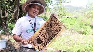 Overview of the Online Basic Beekeeping Training