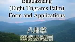 Baguazhang. Form and Applications.