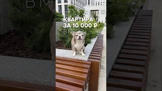 Рассрочка от застройщика #купитьквартиру #недвижимость #свояквартира