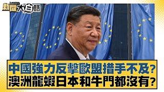 中國強力反擊歐盟措手不及？澳洲龍蝦日本和牛門都沒有？ 【新聞大白話】 20241011