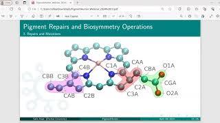 Building a Graphical Interface for Exploring Protein Dynamics and Spectroscopy: PigmentHunter