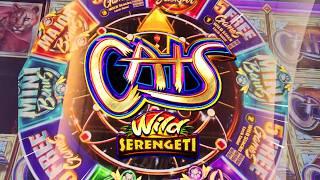 WINNING On Cats Wild Serengeti Slot Machine | Buffalo Ascension 3x 5x Free Games