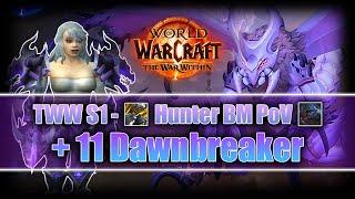 [TWW S1] +11 Dawnbreaker - Hunter BM PoV - Week 3