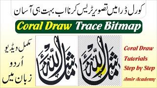 How to Trace image in corel draw | corel draw trace bitmap to vector  in Urdu\Hindi by amir academy