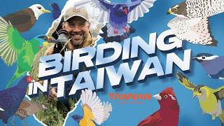 Birding in Taiwan - Epic Birding Adventure from Forest Peaks to Coastal Wetlands