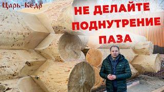 Поднутрение паза в ДЕРЕВЯННОМ ДОМЕ. Как правильно делать лунный паз.