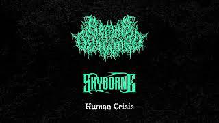 BRAINS OUTWARD/SKYBORNE - Human Crisis (Official Single - 2023)