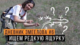 В поисках РЕДКОЙ ящурки -  Дневник змеелова #6 / Змеелов - ученый