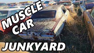 MUSCLE CAR JUNKYARD - Iowa Salvage Yard Full of Rusty Camaros, Impalas, Mustangs, etc!