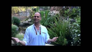 Pure Energy Series for Sun Chlorella: What Happens To Your Body When You Eat