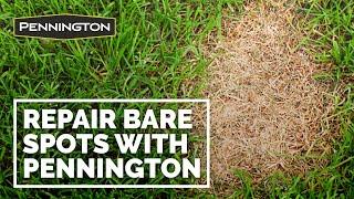 Fix Bare Spots in Your Lawn with Pennington® One Step Complete (15 second video)