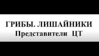 ГРИБЫ. ЛИШАЙНИКИ. Представители ЦТ по биологии 2022