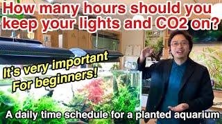 A daily time schedule for planted aquarium beginners〜I'll explain the best lighting time, CO2 etc...
