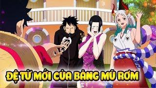 Sanji Có Con Trai, Đệ  Tử Mới Của Băng Mũ Rơm