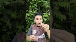Survival Skills: SMART idea and USEFUL in Forest #bushcraft #camping #outdoors v29