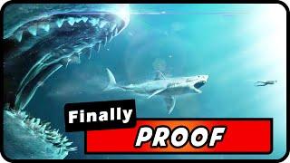 Megalodon Sharks Are Alive! New Footage & Scientific Evidence! (Must Watch) | Absolute Nature