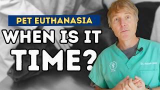 End-of-Life Decisions: Dr. Andrew Jones' Guide to Recognizing the Right Time for Pet Euthanasia