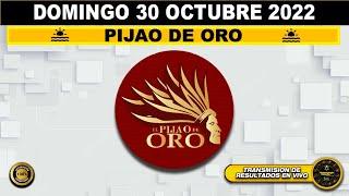 Resultado loteria PIJAO DE ORO ️del DOMINGO 30 de OCTUBRE de 2022 (ULTIMO SORTEO DE HOY) l