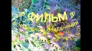  Сама-садик-я-садила...  "Фильм-размышление" / Сады от Ольги Болговой / Gardens by Olga Bolgova