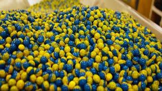 How Millions Of Paintballs Are Made Every Day - Modern Day Factory - Cutting Edge Technology