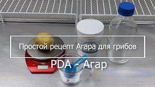 Как сварить картофельный агар для мицелия ? PDA - рецепт